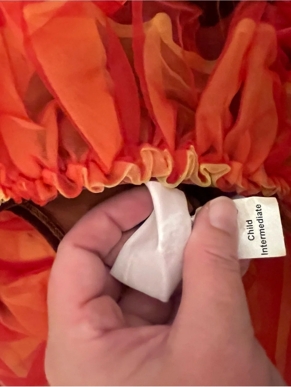 Source Unknown Red and Orange Flame Tulle Costume Dress